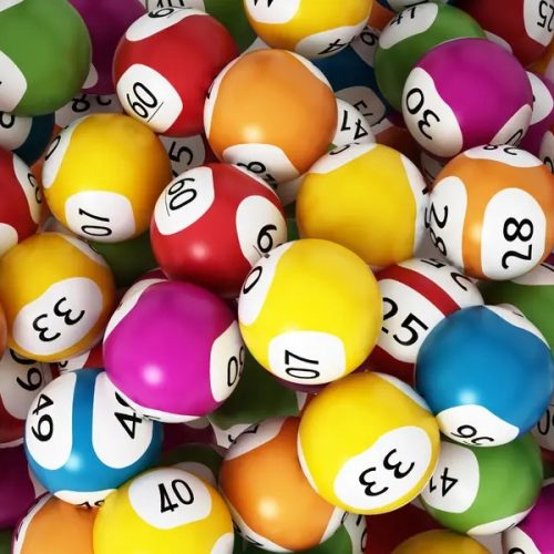Daily number play experiences that feel smooth and easy to follow